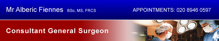 Mr Alberic Fiennes BSc, MS, FRCS